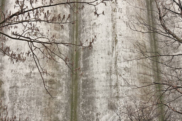 Kísérteties hátborzongató részletei beton fal csupasz fák egy légköri sivár nap - Fotó, kép