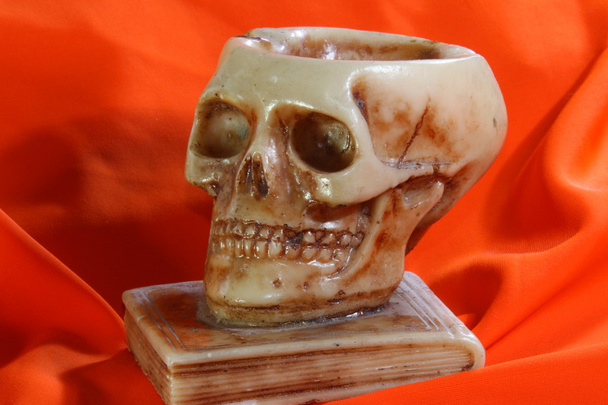 emberi koponya felett tankönyvét - Fotó, kép