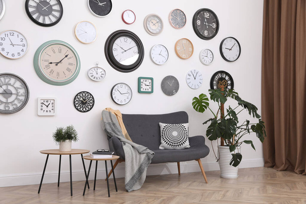 Stylish room interior with comfortable furniture, beautiful houseplant and collection of different clocks on white wall - Fotó, kép