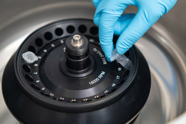 Científico pone tubos de microcentrifugadora en centrifugadora para separación de fase  - Foto, Imagen
