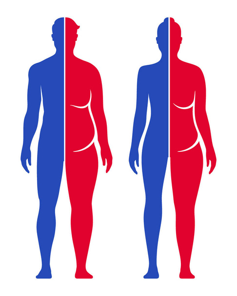 Súlyvesztés fogalmi vektor illusztráció. Férfi és nő fit és kövér test alakja összehasonlítás. - Vektor, kép