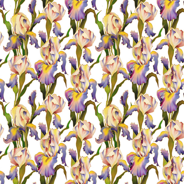 Jasne ręcznie malowane akwarelowe kwiaty Iris. Płynny wzór. Pomysł na dekorację i design. Wysokiej jakości zdjęcie - Zdjęcie, obraz