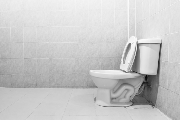 Toilet  - Foto, Imagen