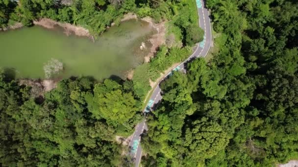 Ansicht von oben Waldbäume mit Sumpf oder Teich Ökosystem und gesundes Umweltkonzept und Naturhintergrund - Filmmaterial, Video