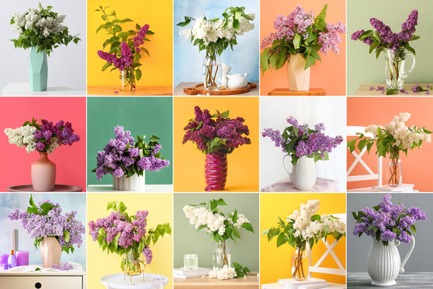 Колаж з букетами красивих бузкових квітів на барвистому фоні
 - Фото, зображення