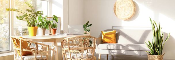 Интерьер светлой гостиной со столом, плетеными креслами, серым диваном и комнатными растениями. Баннер для дизайна - Фото, изображение