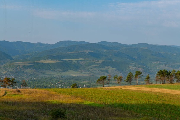 przestronne zielone pola i góry w Gruzji w lecie - Zdjęcie, obraz