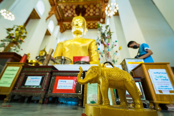 Ангтонг (Таїланд) - березень 21, 2022 р.: маленький золотий слон для розведення виливок у храмі Ват Чеййо Варавітана (провінція Ангтонг, Таїланд).. - Фото, зображення