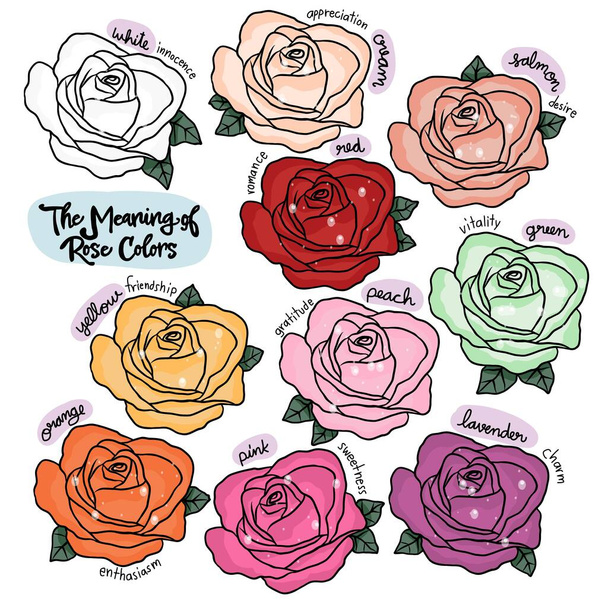 The meaning of rose colors vector illustration - Vector, Image