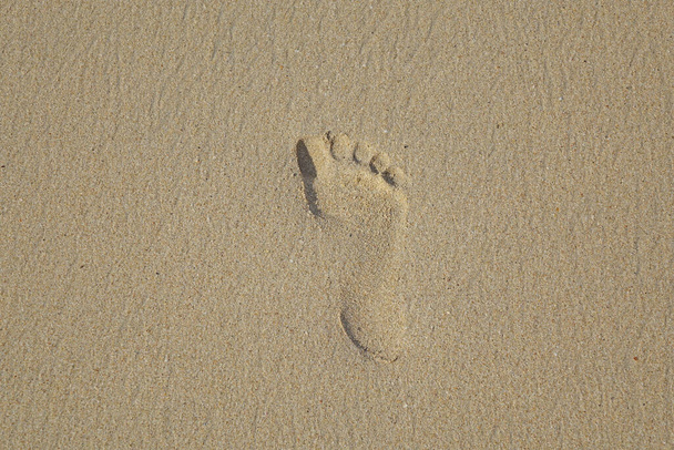 Footprint on the beach sand - Фото, изображение