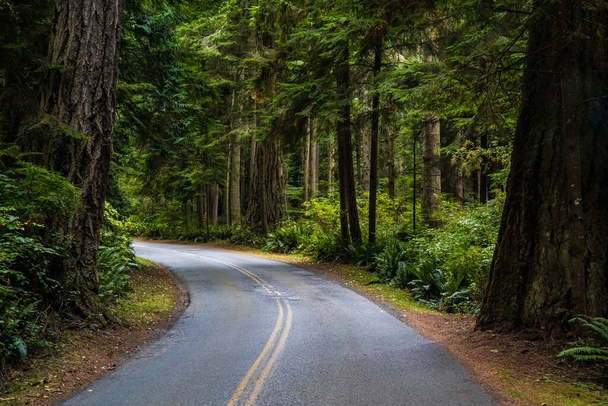 A long way down the road going to Whidbey Island, Washington - Fotó, kép