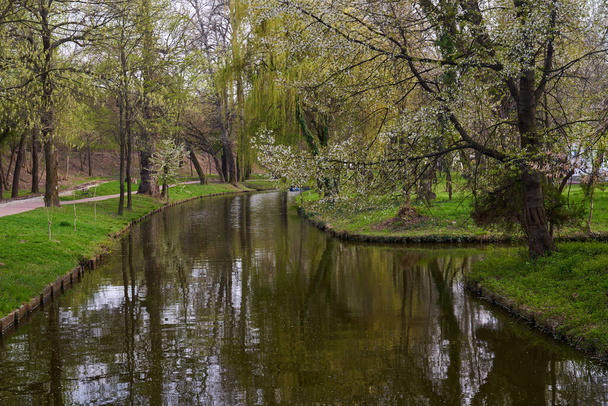 Landscape with a park with water canals and trees - Foto, afbeelding