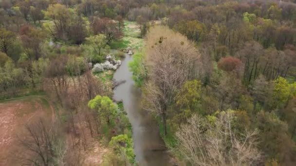 Vzdušný pohled na jarní řeku uprostřed zeleného lesa - Záběry, video