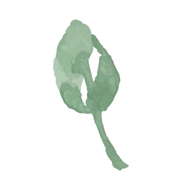 Icon vector leaf. Eco nature healthy concept. Green natural plant symbol. Logo sign design. Modern brush ink illustration isolated on white background - Vektor, obrázek