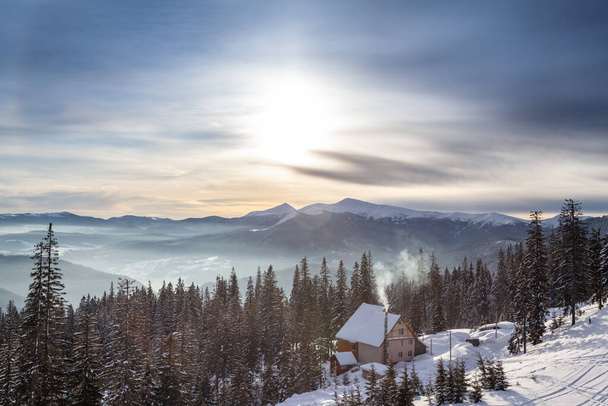 Gefrorener schneebedeckter Tannenwald nach Schneefall und grauer Himmel im Dunst am Wintertag. Karpaten, Ukraine - Foto, Bild