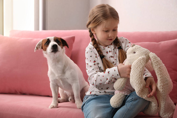 Cute little girl with her dog and toy bunny on sofa indoors. Childhood pet - 写真・画像