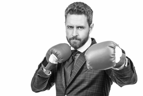 Fight is on. Boss wear boxing gloves. Standing in fighting position. Fight like champion - Фото, зображення
