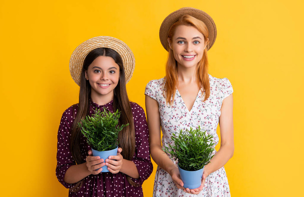 mother and daughter smile with plant in pot on yellow background - Photo, image