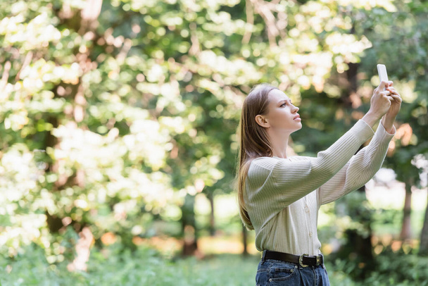 young woman taking photo on smartphone in park  - Zdjęcie, obraz