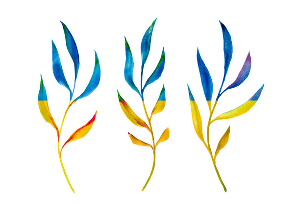 The yellow-blue national flag of Ukraine is painted on leaves, which lies on a white background. Peace in Ukraine and freedom of strong people - Фото, зображення