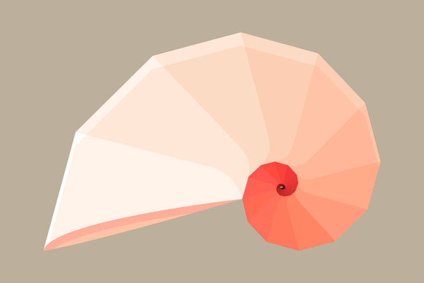 Geometric Nautilus shell symbol. Flat vector illustration - Vektor, Bild