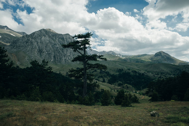 widok na górę Dedegol Tepesi w Turcji. Wysokiej jakości zdjęcie - Zdjęcie, obraz