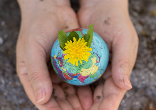 Földgömböt tartó emberi kezek pitypang virággal és talajjal. Tiszta bolygó, zöld környezet, ökológia és fenntarthatósági koncepció. A béke, a növekedés és a jövő reményének szimbóluma. Felülnézet, közelkép. - Fotó, kép