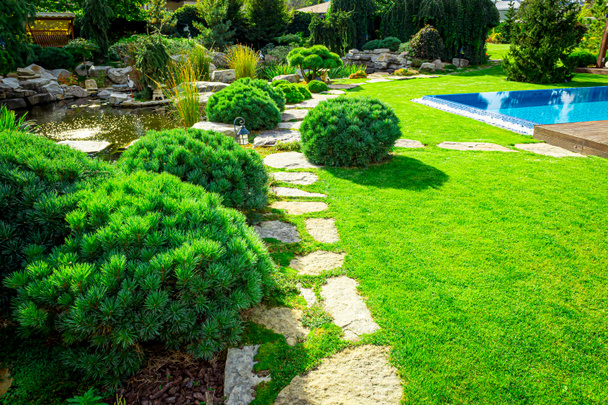 Patio trasero con piscina residencial al aire libre, jardín, terraza y patio de piedra
 - Foto, Imagen