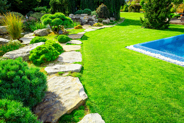 Podwórko, projekt krajobrazu z wielokolorowymi krzewami przecinającymi się z jasnozielonymi trawnikami za domem to nowoczesny, pielęgnacyjny ogród, zielona trawa z pięknym podwórkiem na tle. - Zdjęcie, obraz