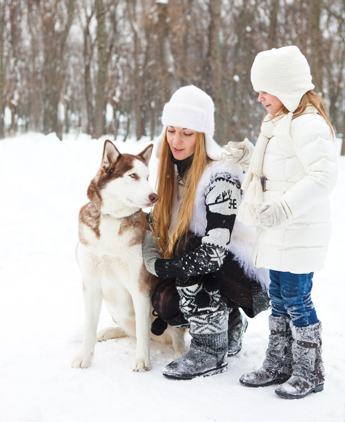 Joyeux jeune mère avec fille avec chien huskies
 - Photo, image
