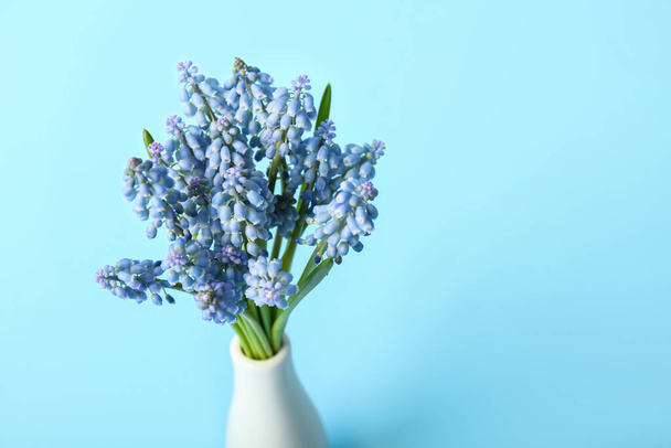 Vase with bouquet of beautiful Muscari flowers on blue background - Фото, изображение