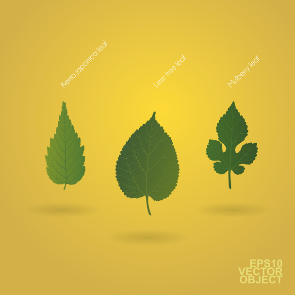 Green Leaves Design Clip-Art - Vector, Image