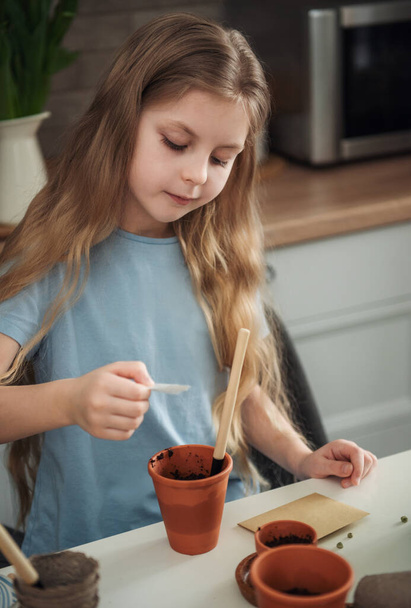 Κοριτσάκι που κάθεται στο τραπέζι στο σπίτι, σπέρνοντας σπόρους σε γλάστρες. Κηπουρική  - Φωτογραφία, εικόνα