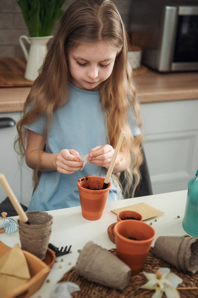 Little girl sitting at the table at home, sowing seeds into flower pots. Home gardening  - Valokuva, kuva
