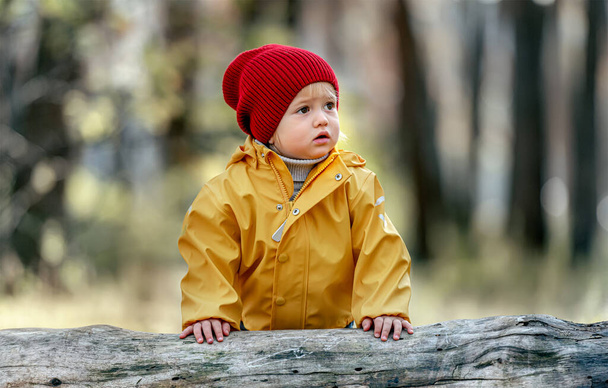 Little child enjoying autumn - Foto, Imagen