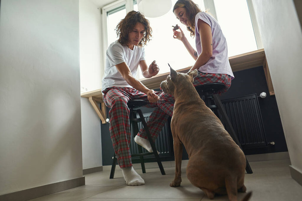 Girl eat and look at guy teach and feed dog - Fotografie, Obrázek
