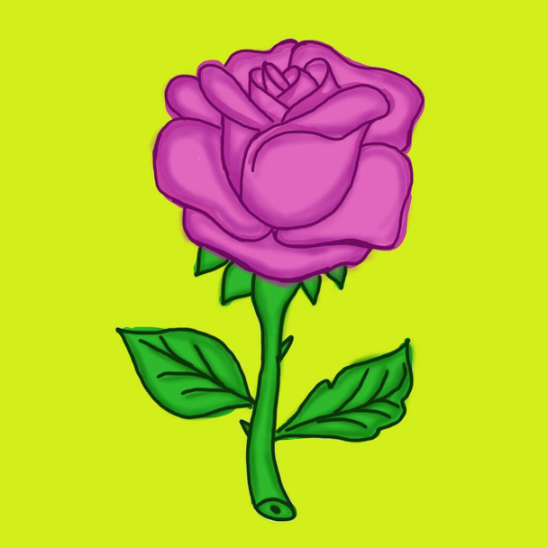 Rose is very nice flower  - Foto, Imagen