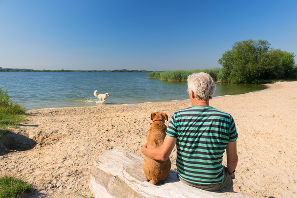 Man with dog in landscape with river - Фото, зображення