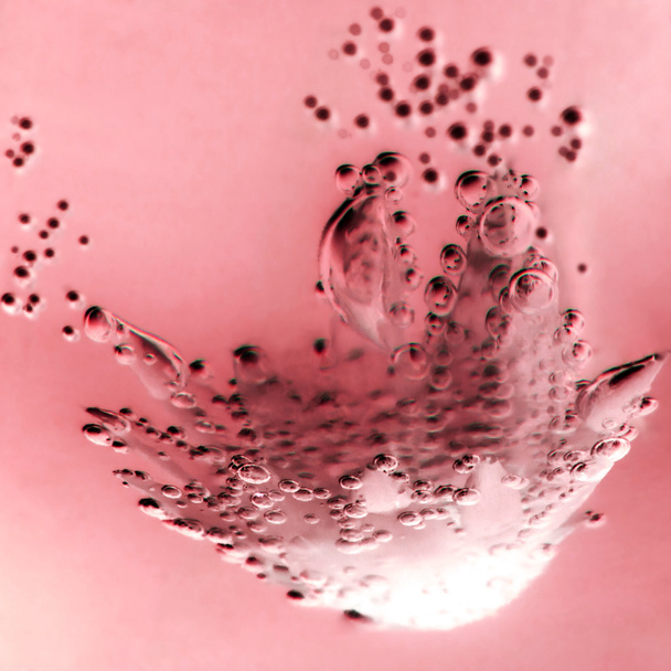 Abstract underwater composition with dried flower, bubbles and light - Фото, изображение