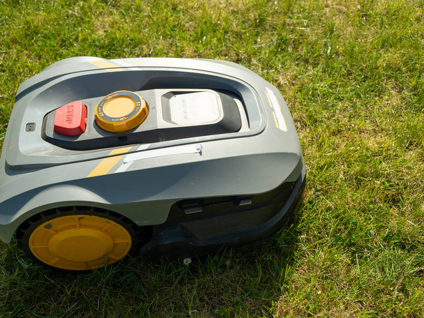 automatic lawn mower robot moves on the grass, lawn. side view from above, copy space. - Photo, Image