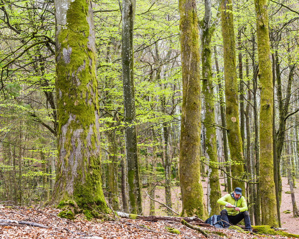 Турист отдыхает с термосом в буковом лесу. - Фото, изображение