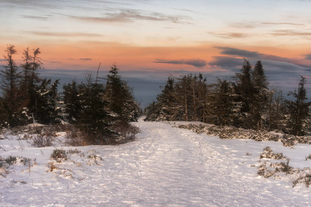 the road to one of the sewings of the Beskids - the great Rache - 写真・画像