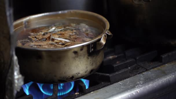 Wie man Suppenvorräte anlegt - Filmmaterial, Video