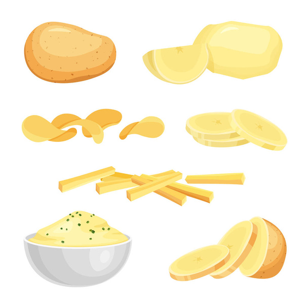 Peeled whole potato, raw sliced potatoes, french fries, chips. Puree bowl or plate. Vector illustration isolated on white background. - Vector, Imagen