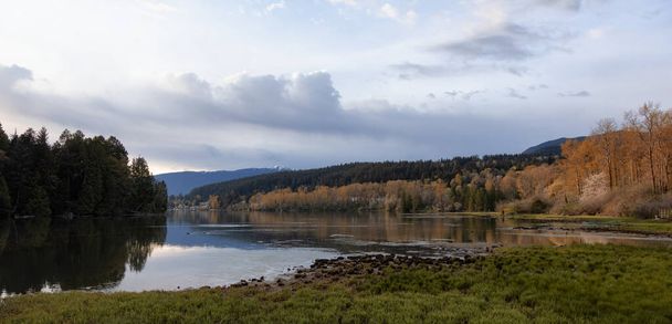 Canadian Landscape in Shoreline Trail, Port Moody, Greater Vancouver, British Columbia, Canada - Fotografie, Obrázek