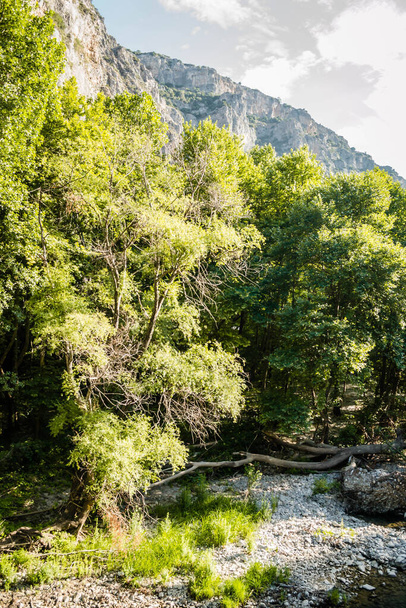 View of the Pinios River in the valley of Tembi, Greece. - Φωτογραφία, εικόνα