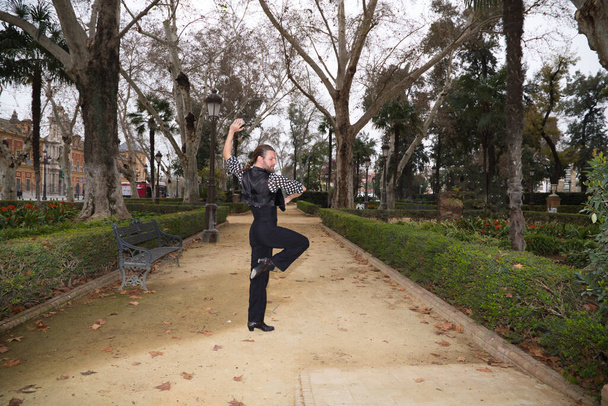 красивий циганський чоловік танцює фламенко з довгим волоссям і бородою танцював у парку в місті Севілья. Концепція фламенко, танцю, культури, туризму та мистецтва
. - Фото, зображення