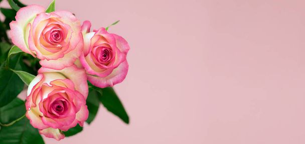 Bouquet de délicates roses sur fond rose. Carte de vacances. Fond floral. Espace de copie. - Photo, image