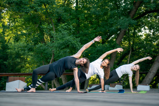 Group of girls is engaged in fitness in the park. Young athletic women do exercises outside - Photo, Image