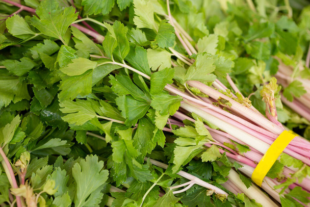 A view of Chinese pink celery on display at a local farmers market. - Foto, Imagen